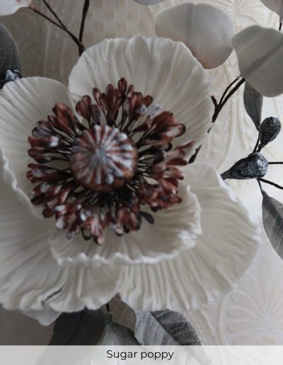 Detailed sugar poppy flower in soft ivory and deep brown tones
